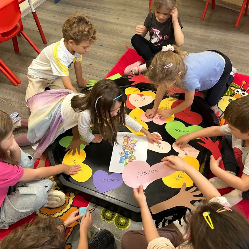 Activitate 5